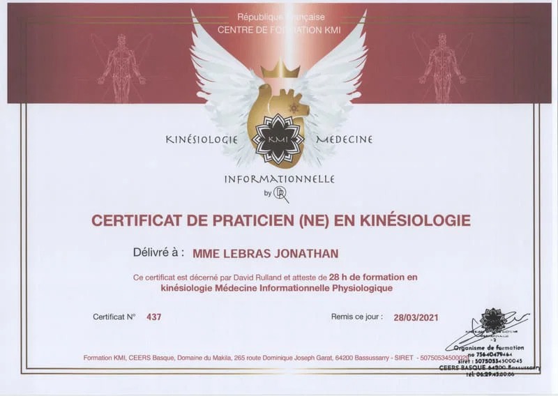 Certificat de praticien en kinésiologie physiologique délivré à Jonathan